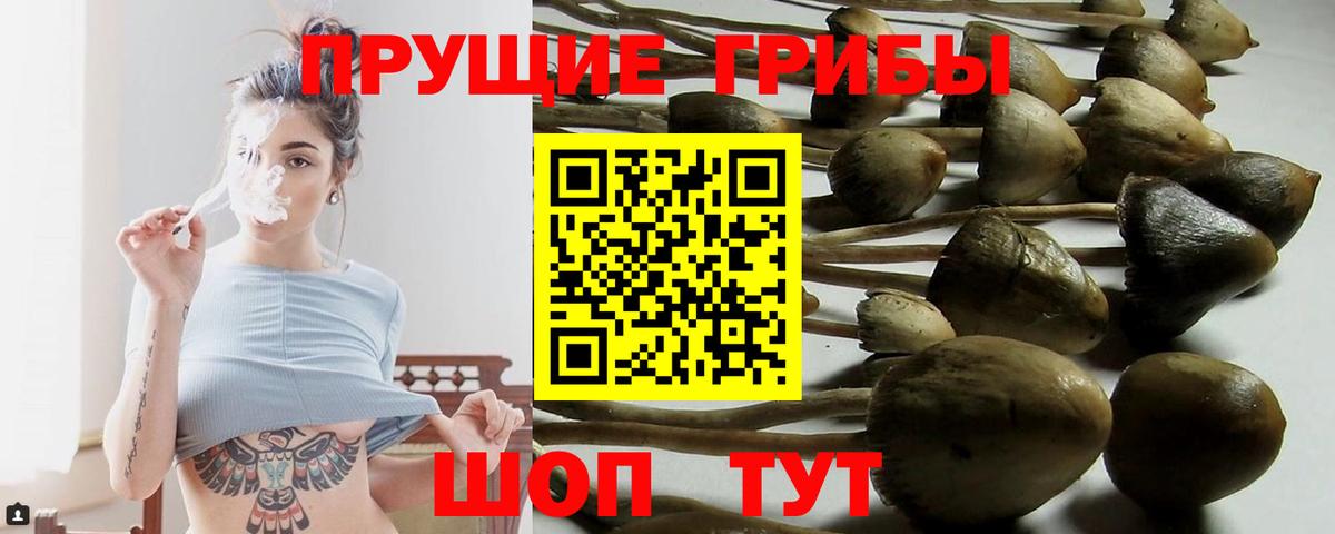 Галлюциногенные грибы Psilocybine cubensis Шумерля