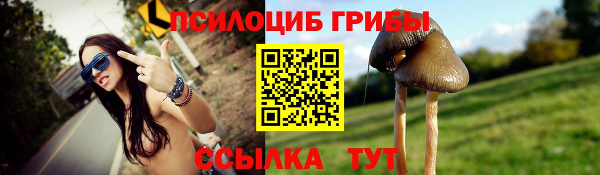 Галлюциногенные грибы Psilocybe  Вход с VPN  Шумерля 